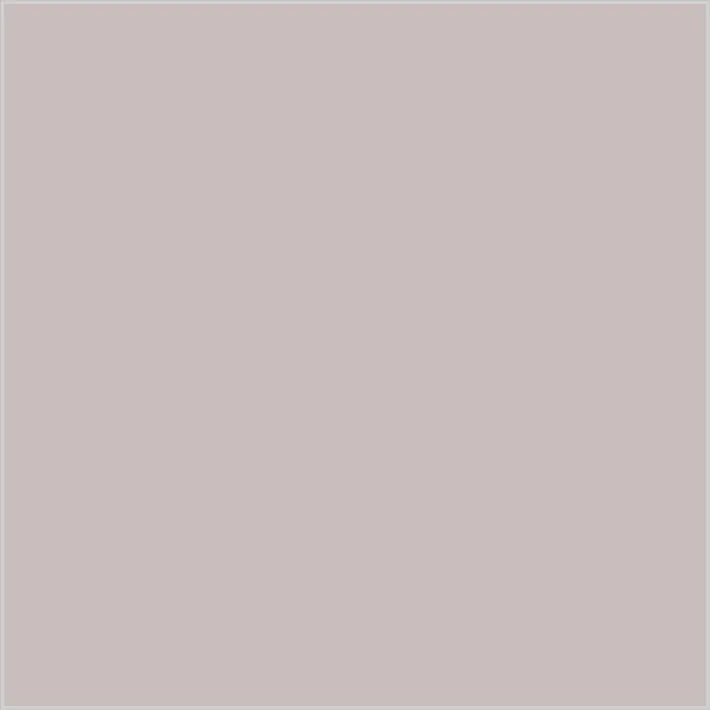 Gris Topo · CL_CO_005800