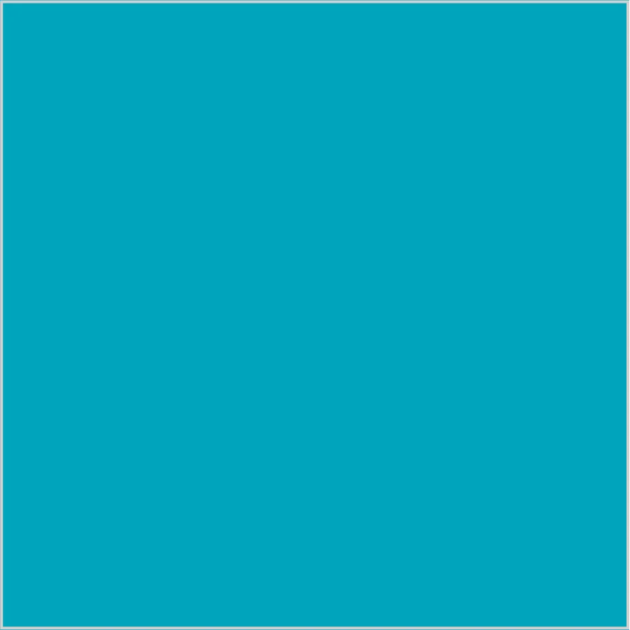 Turquesa · SL_CO_000800