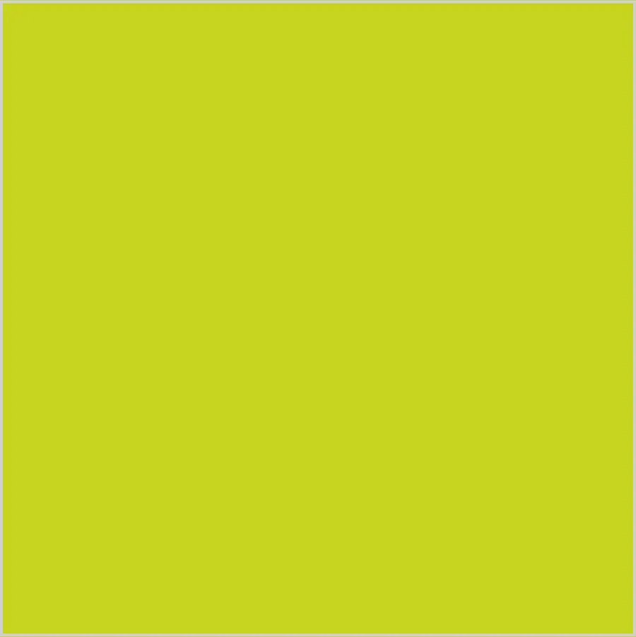 Kiwi Verde · SL_CO_002600