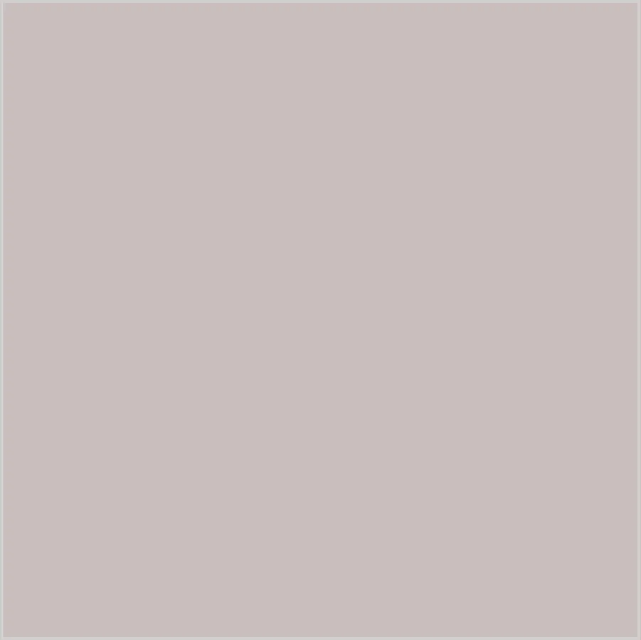 Gris Topo · SL_CO_005800