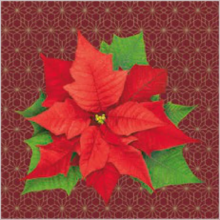 Flor de Pascua sobre Silueta Granate · SL_GW_025402