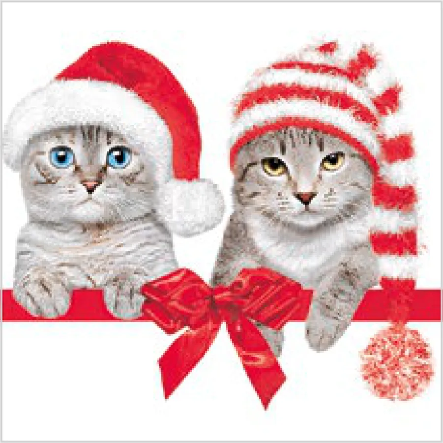 Gatos Adorables con Gorros Navideños · SL_GW_026201