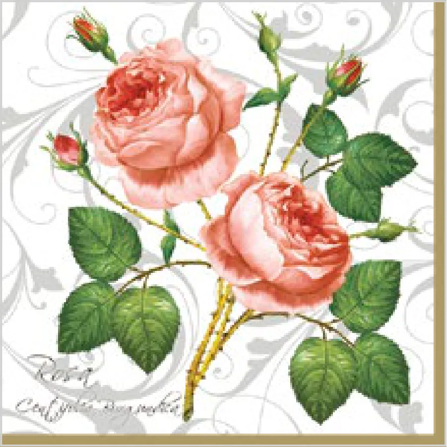 Rosa Centifolia Blanca · SL_OG_003101