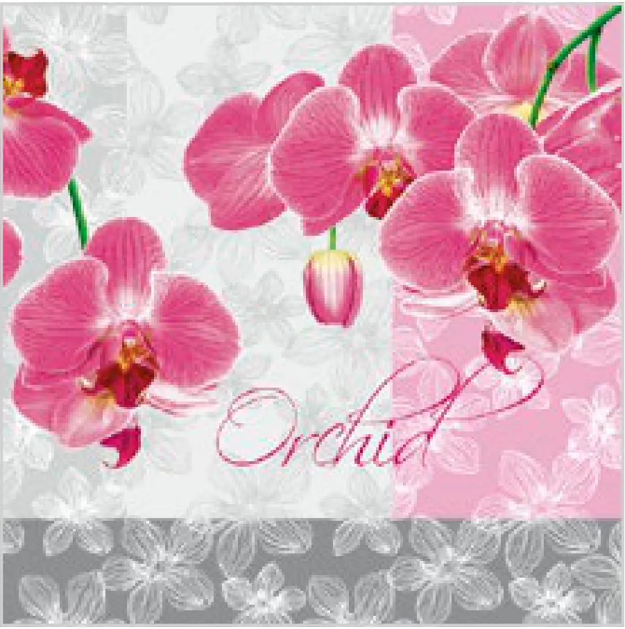 Orquídea Romántica · SL_OG_010001