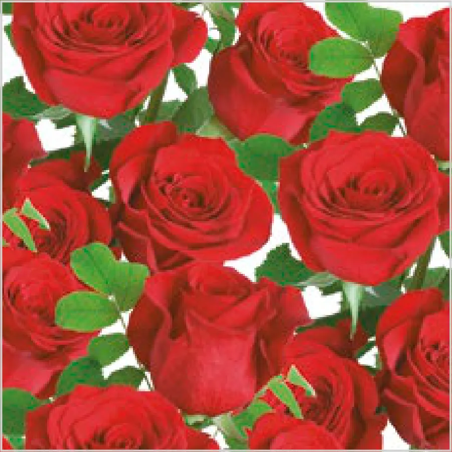 Rosas Rojas Clásicas · SL_OG_044601