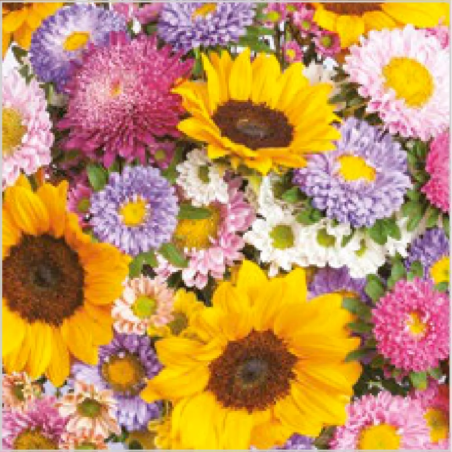 Fondo de Flores de Verano Multicolores · SL_OG_045201