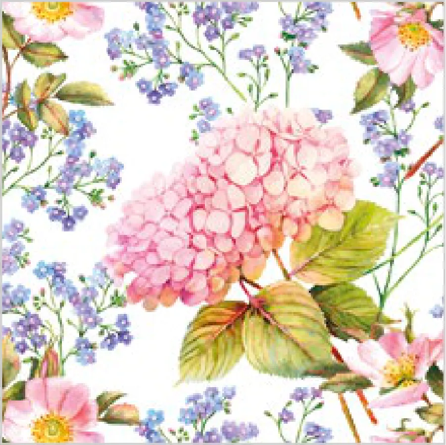 Hortensia Rosa y Nomeolvides · SL_OG_045901