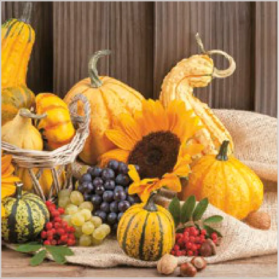 Frutos de Otoño · SL_OG_046901