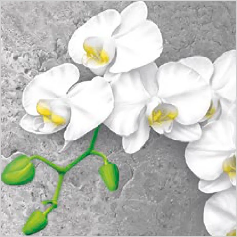 Orquídea Blanca sobre Fondo de Hormigón · SL_OG_048701