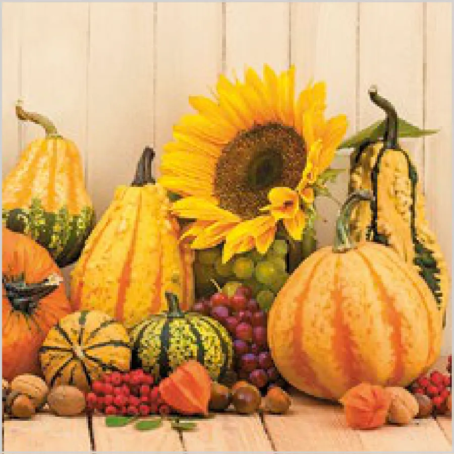 Calabazas de Otoño · SL_OG_054001