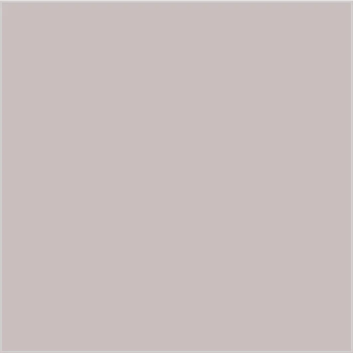Gris Topo · CL_CO_005800