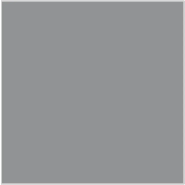 Plateado · CL_OG_005500