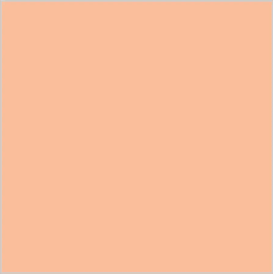 Salmón · SL_CO_001500