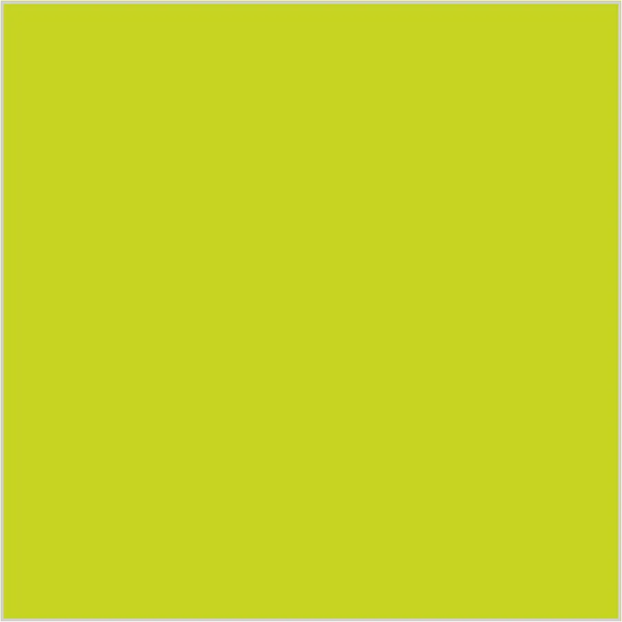 Kiwi Verde · SL_CO_002600