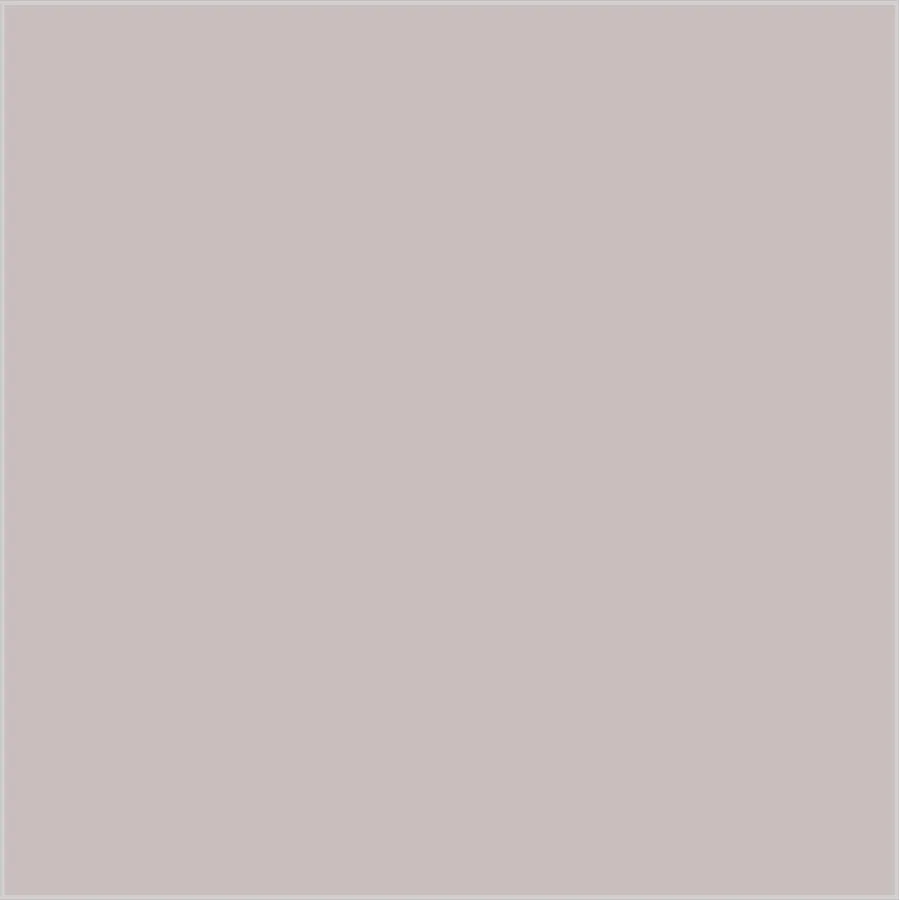 Gris Topo · SL_CO_005800