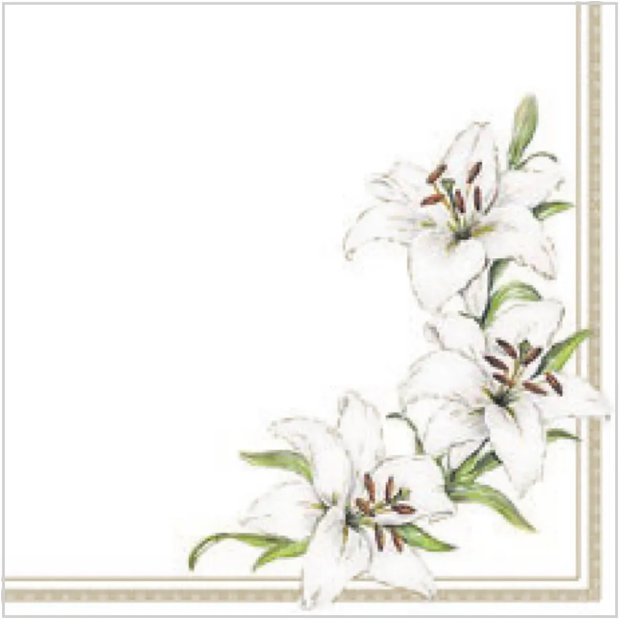 Lirios Blancos · SL_KO_002001