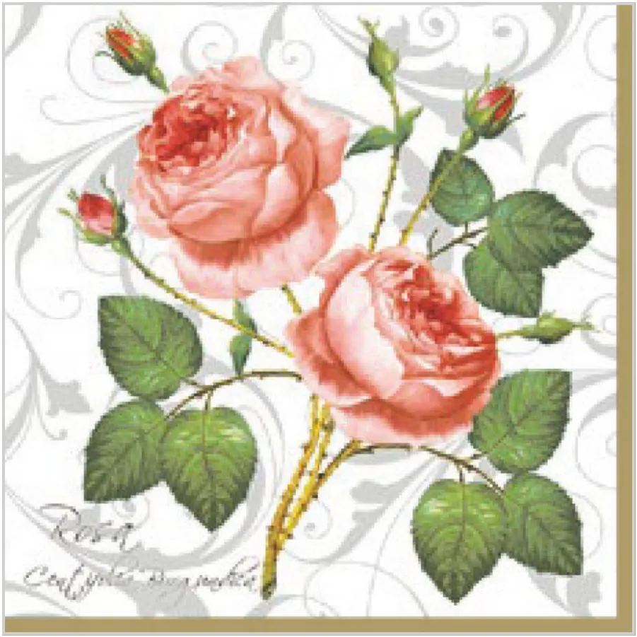 Rosa Centifolia Blanca · SL_OG_003101