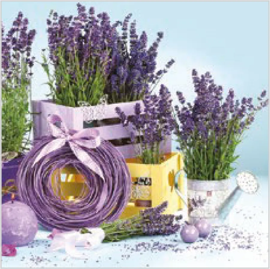 Lavanda en Interior · SL_OG_036001