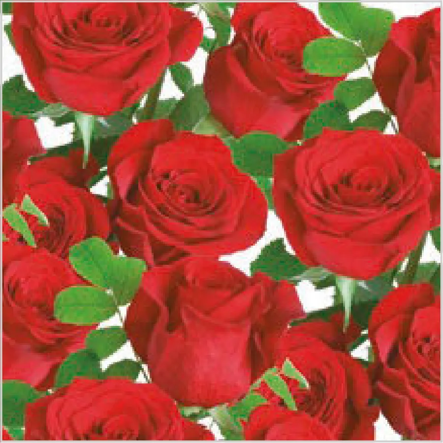 Rosas Rojas Clásicas · SL_OG_044601
