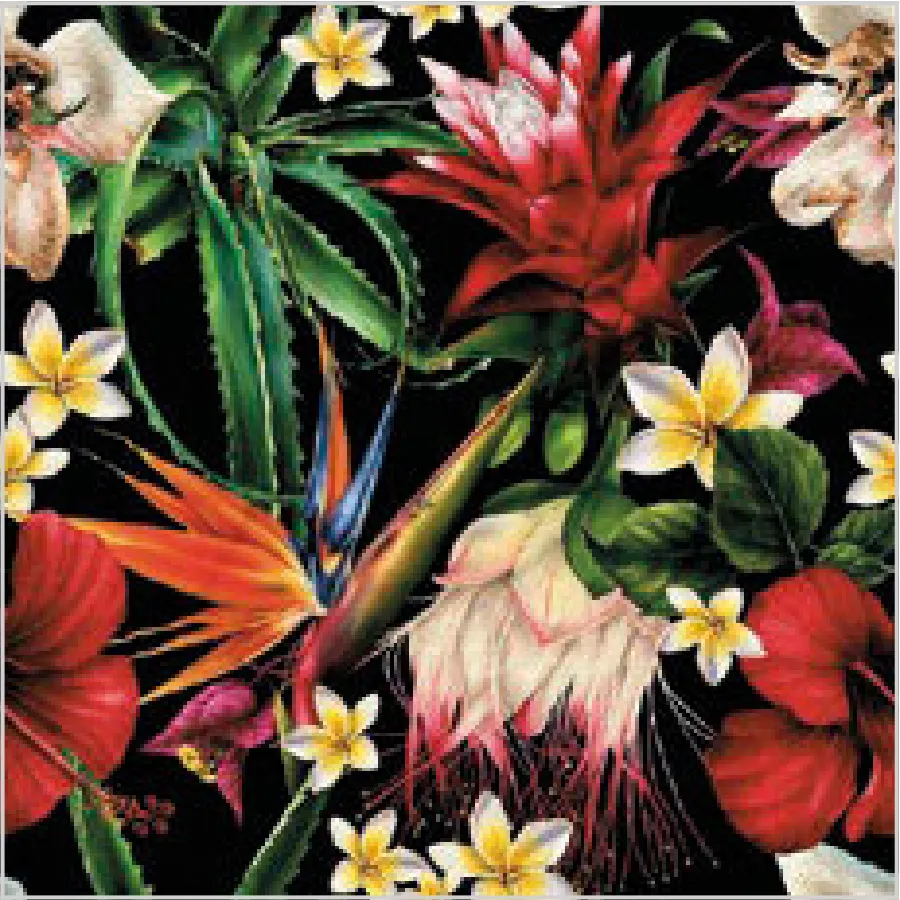 Flores del Paraíso sobre Negro · SL_OG_052401