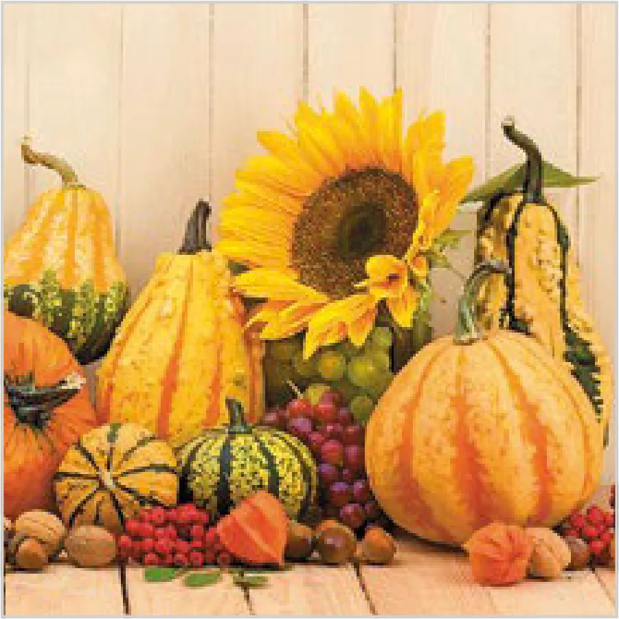 Calabazas de Otoño · SL_OG_054001