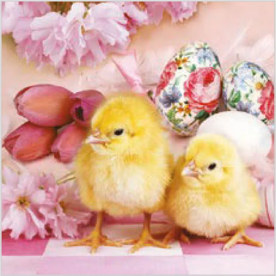 Pollitos Adorables entre Tonos Rosas · SL_WL_008501